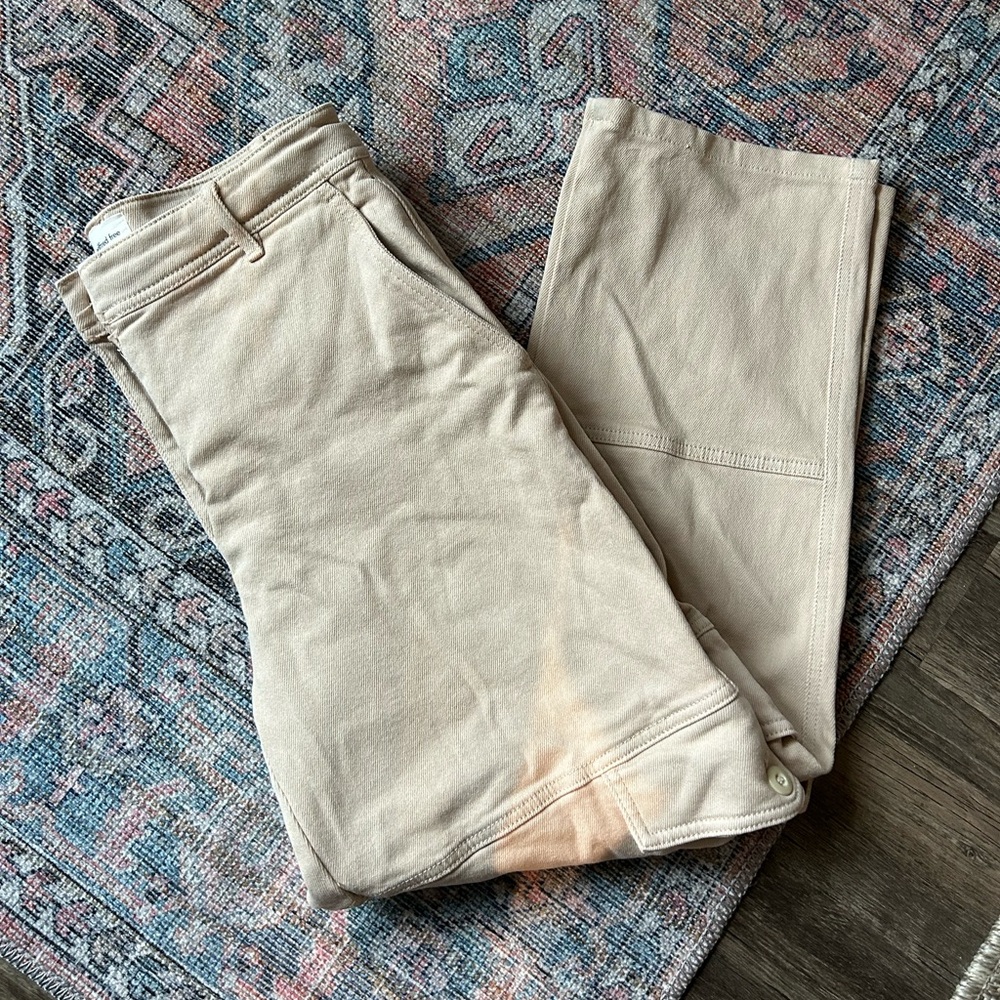 Aritzia Wilfred Free Cargo Pants